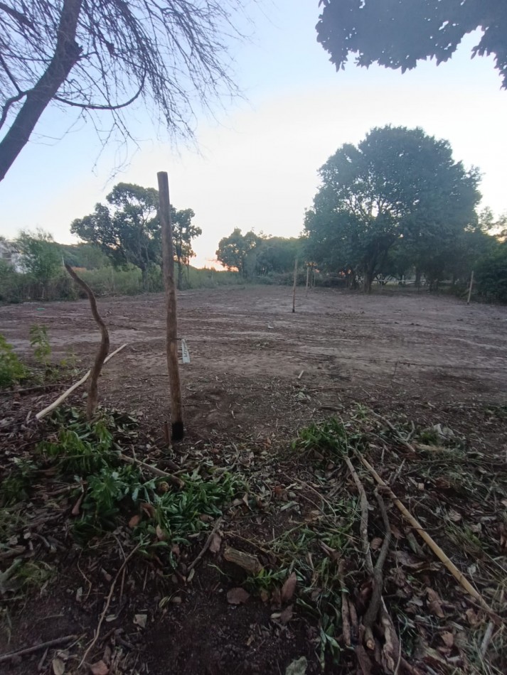 Terrenos Sobre Av Zanni 