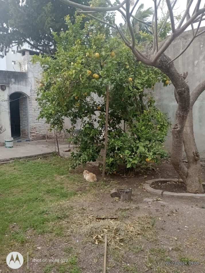 Casa centrica 