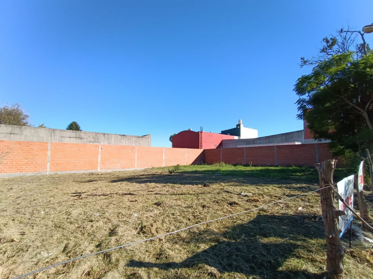 Lote Sobre Avenida 