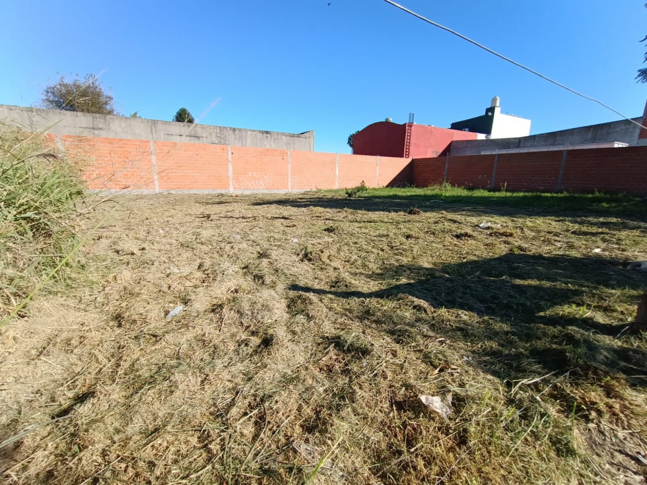 Lote Sobre Avenida 