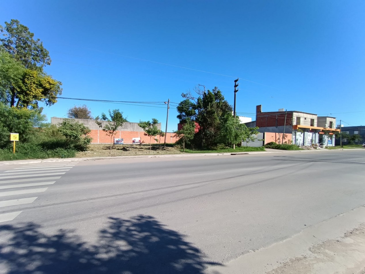 Lote Sobre Avenida 