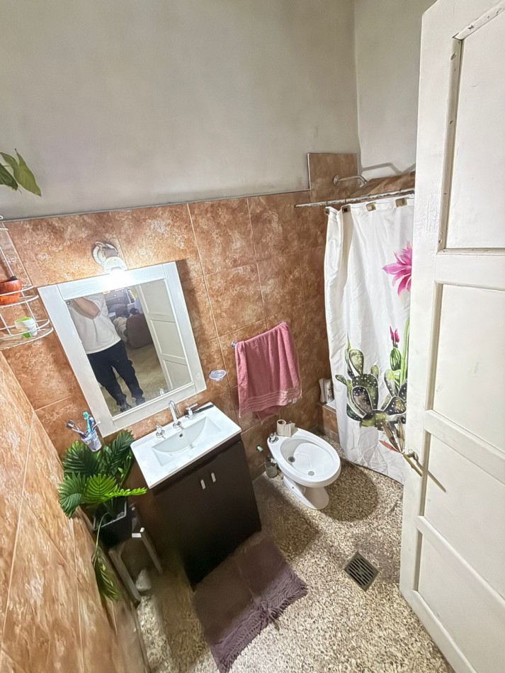 casa + local + dpto + galpon