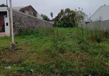 Lote Zona Garrigo y Ohiggins 