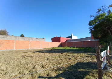 Lote Sobre Avenida 